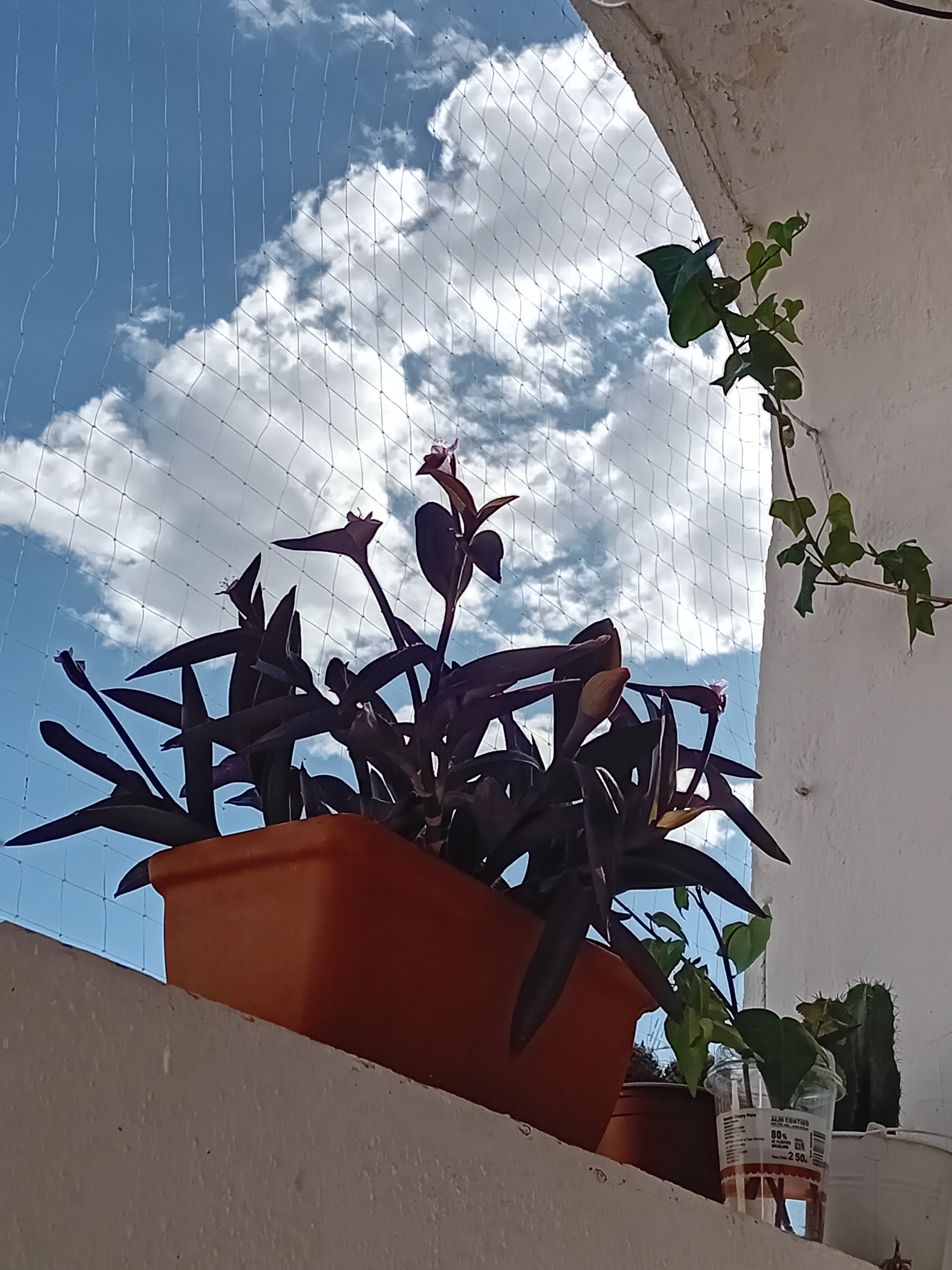 בשבח הנדודים